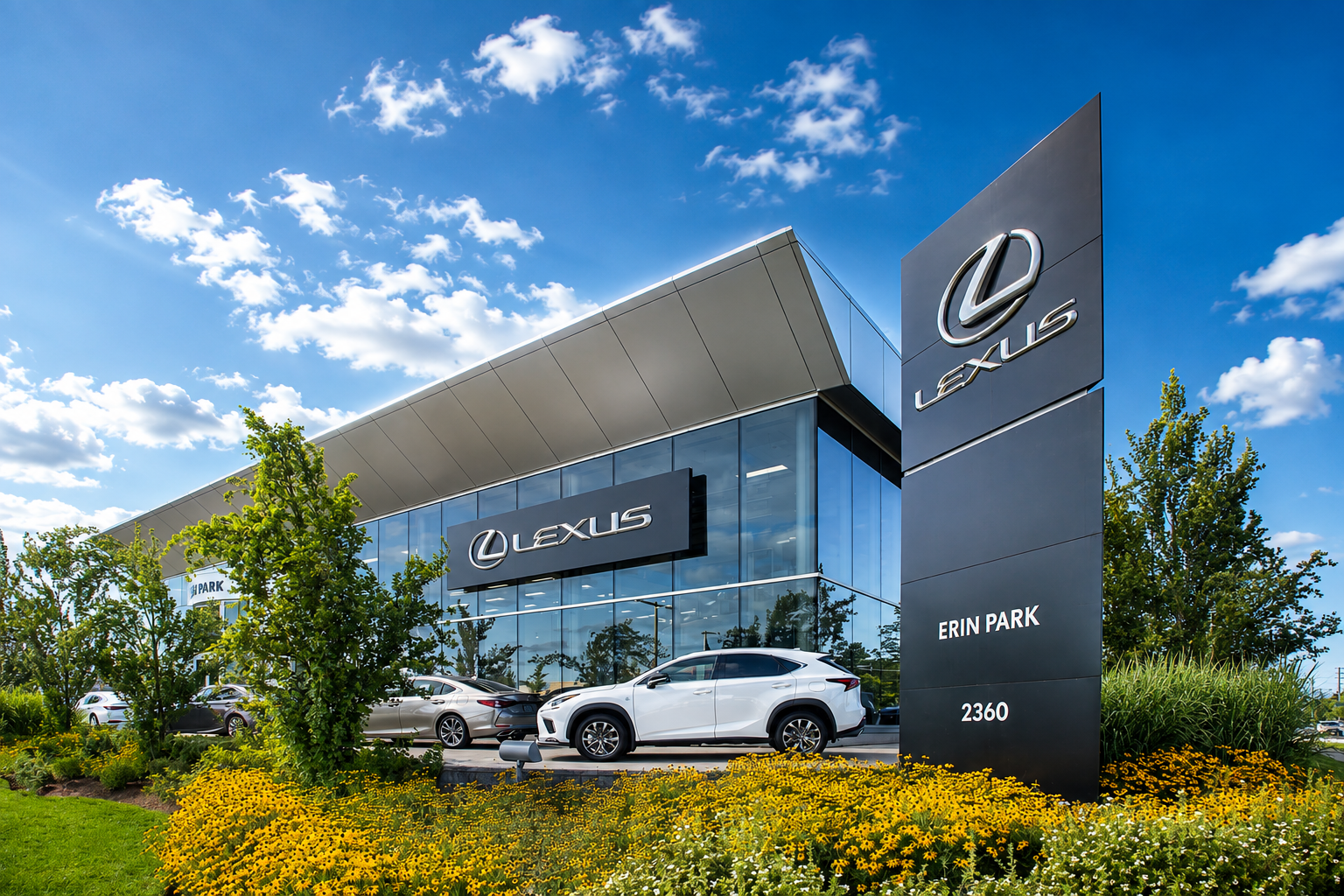 Erin Park Lexus
