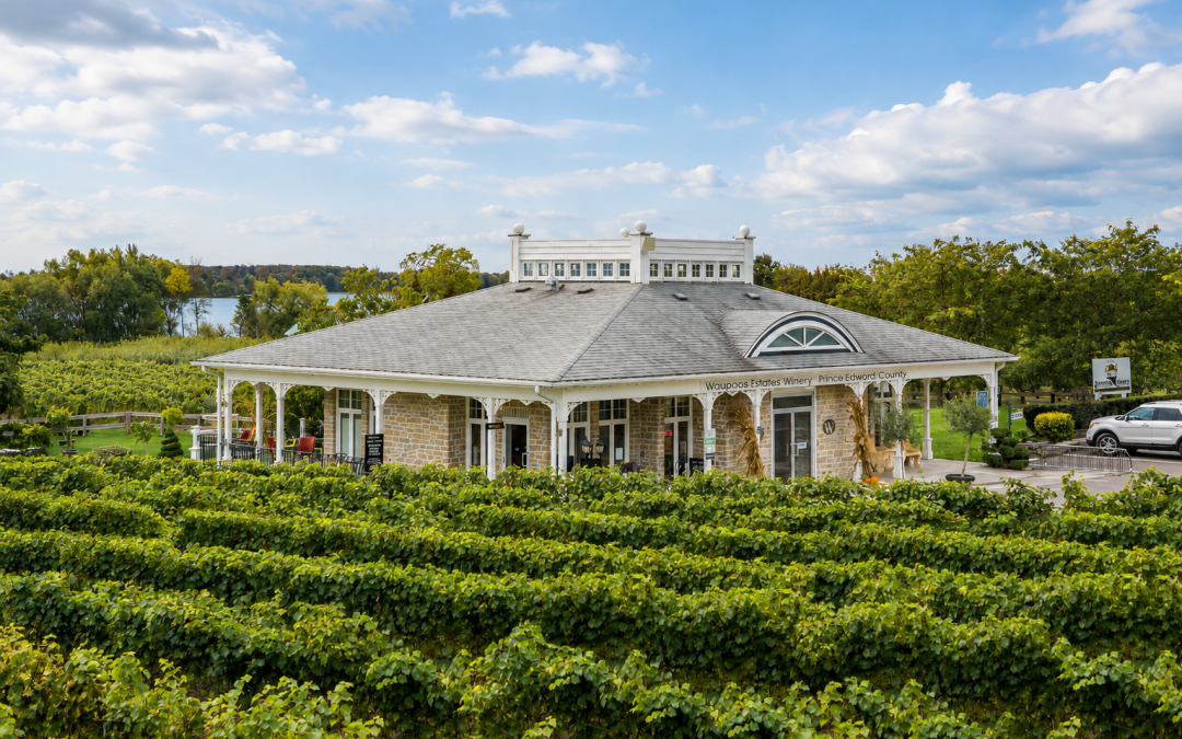 Waupoos Estates Winery